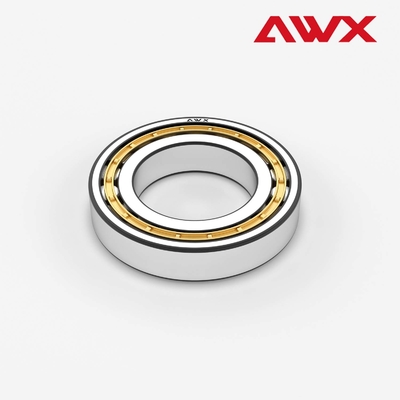 Double Row Cylindrical Roller Bearings P0 P5 NUP1000 NUP200 NUP300  NU NJ NUP N NF